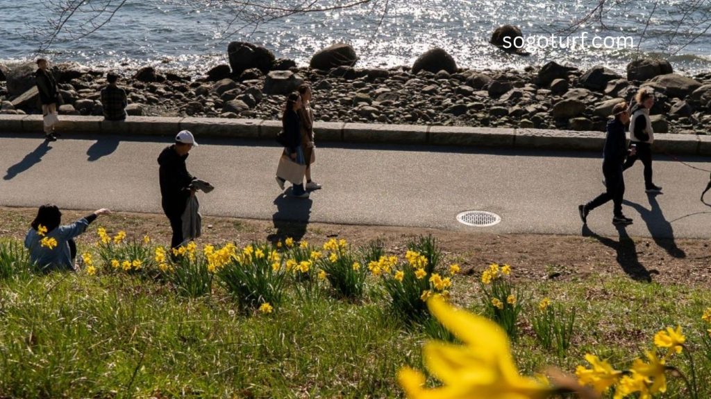 Growth: The World’s Financial Future Unfolds – Entering a Revolutionary Era of Innovation in 2025 Growth