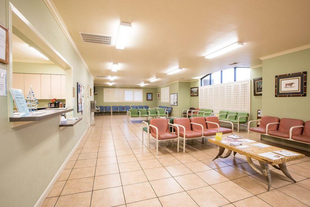 Patients sit in a bright community clinic waiting room before their appointments.